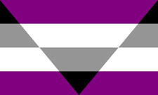 Aegosexual flag Aegosexual flag